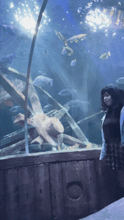 Shalymar Shagarita GIF