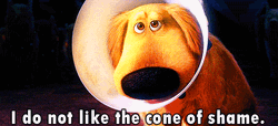 Shame Cone Of Dug GIF