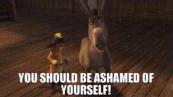 Shame On You Donkey And Puss GIF