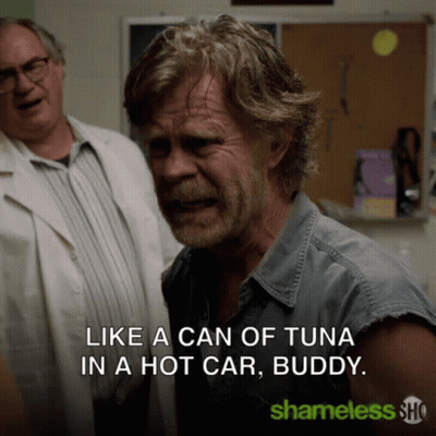 Shameless Poster Man With Tuna Can GIF