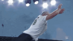 Shane Mcmahon Bad Fall GIF