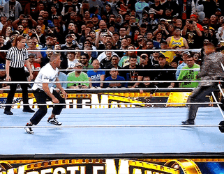 Shane Mcmahon Being Tricked On The Ring GIF