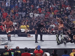 Shane Mcmahon Head Cracking Attack GIF