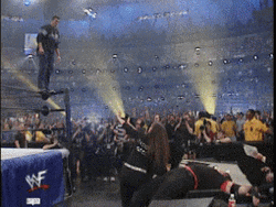 Shane Mcmahon Jumped From The Ring GIF
