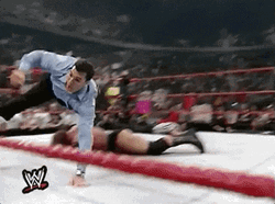 Shane Mcmahon Ran Off GIF