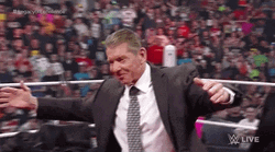 Shane Mcmahon Tries To Stop Vince GIF