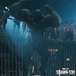 Shang Chi Fighting Abomination GIF
