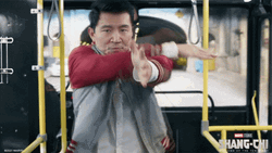 Shang Chi Fighting Pose GIF