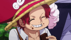 Ace One Piece Brothers Fire GIF | GIFDB.com