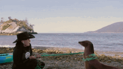 Shannen Doherty Petting A Sea Lion GIF