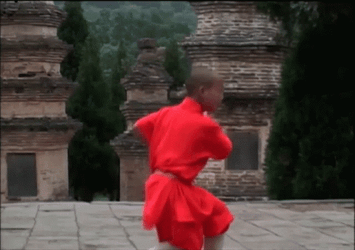Shaolin Kung Fu GIF