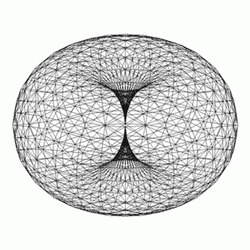 Shapes Torus Flower GIF