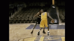 Shaquille O'neal Kobe Bryant Basketball GIF | GIFDB.com