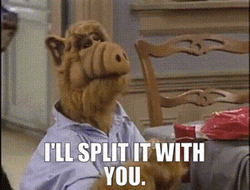 Share Food Split With You GIF