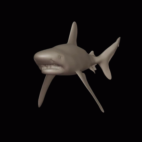 Shark 3D GIF