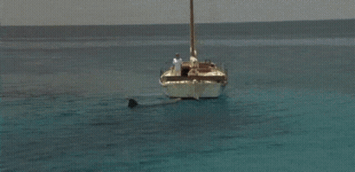 Shark Attacking Boat With Man GIF