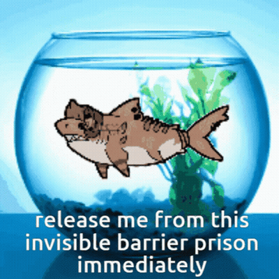 Shark Fish Bowl Release Me Invisible Barrier Prison GIF