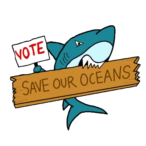 Shark Holding Vote Save Our Oceans Sign Sticker