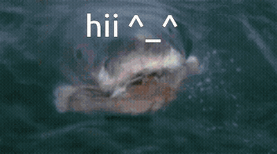 Shark In Ocean Saying Hii GIF