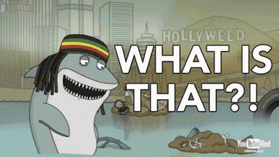 Shark In Rasta Hat In Front Of Hollywood Sign Saying What Is That GIF