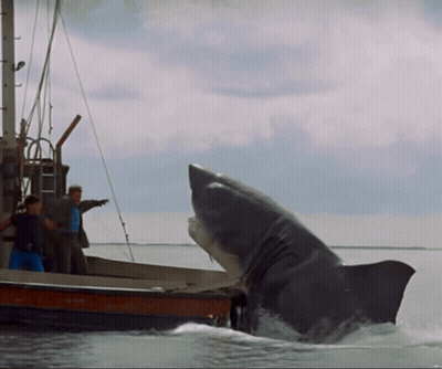 Shark Jumping Out Of Water Near Boat With People GIF