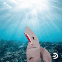 Shark Mascot How You Doin Flirty GIF