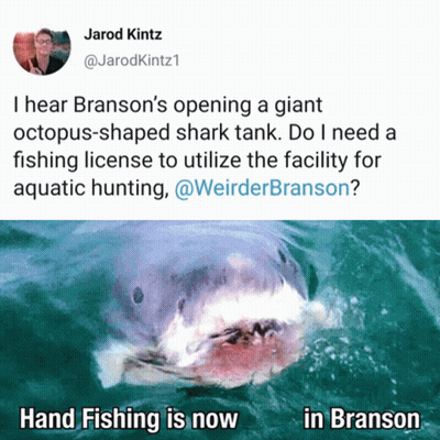 Shark Next To Jarod Kintz Tweet GIF