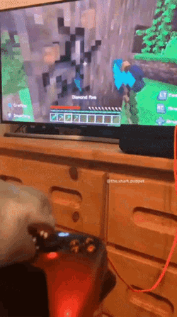 Shark Puppet Minecraft GIF