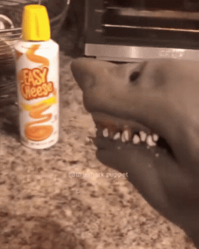 Shark Puppet With Bottle Of Easy Cheese GIF