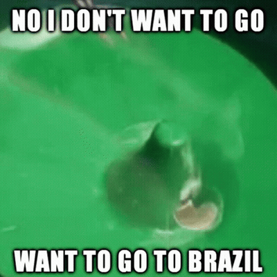 Shark Swimming In Green Pool Saying No I Don't Want To Go To Brazil GIF