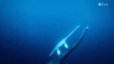 Shark Swimming In Ocean With Apple TV+ Logo GIF
