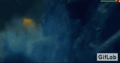 Shark Swimming In Ocean GIF