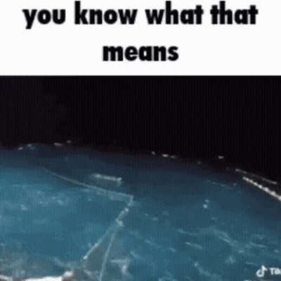 Shark Swimming In Pool Saying You Know What That Means GIF