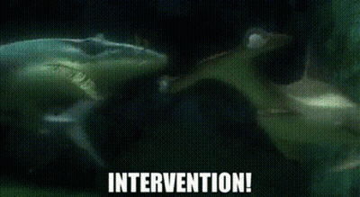 Shark Swimming Saying I'm Having Fish Tonight GIF