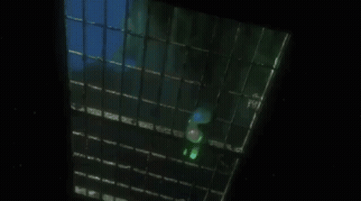Shark Swimming Saying I'm Having Fish Tonight GIF