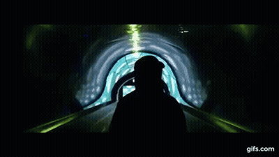 Shark Swimming Underwater With Light GIF