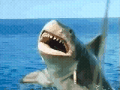 Shark Swimming With Mouth Open GIF