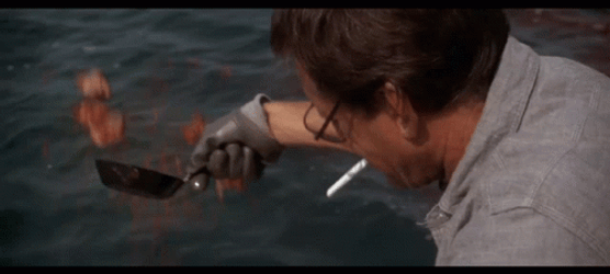 Shark We Gonna Need A Bigger Boat GIF