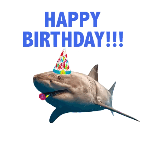 Shark Wearing Party Hat Happy Birthday Sticker