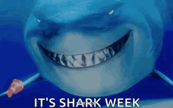 Shark Week Big Smile GIF