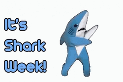 Shark Week Dancing For You GIF