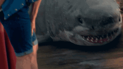 Shark Week Guy Coming Out GIF