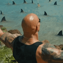 Shark Week Sharks Down There GIF