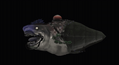 Shark With Fishing Rod On Head GIF