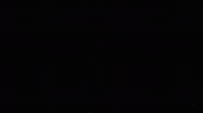 Shark With Number 10 GIF