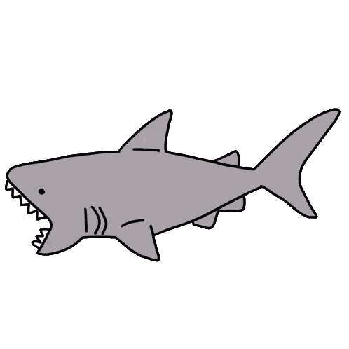 Shark With Open Mouth And Sharp Teeth Sticker