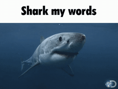 Shark With Shark My Words GIF