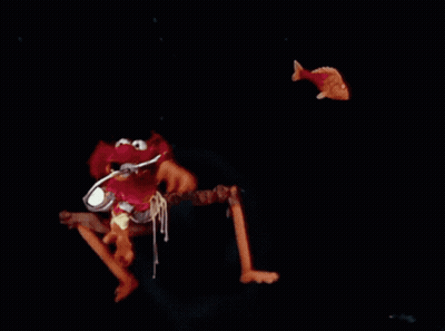 Shark With Sharp Teeth Held by Person's Leg