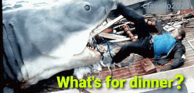 Shark With What's For Dinner GIF