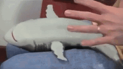 Sharknado Belly Rubbing Shark GIF